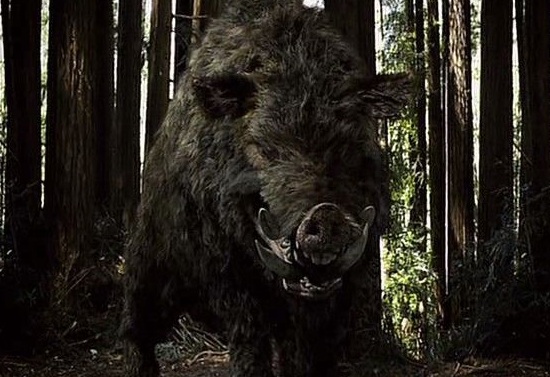 Pig Bomb